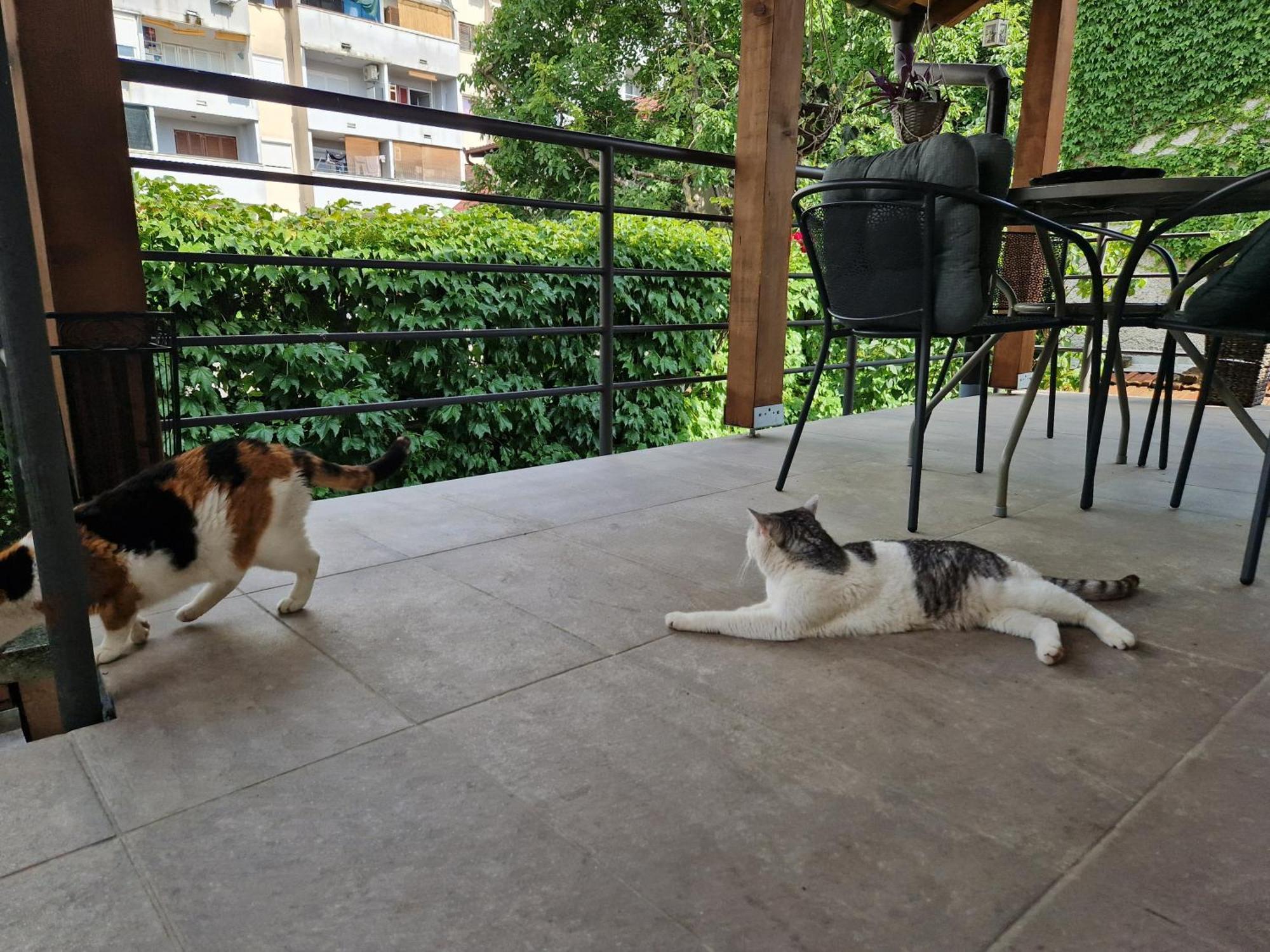 Apartman Dubravka Zagreb Dış mekan fotoğraf